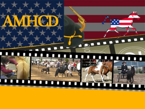 American Miniature Horse Club Denmark